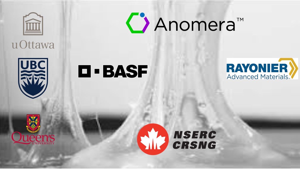 Read more about the article Anomera Awarded NSERC Alliance Grant